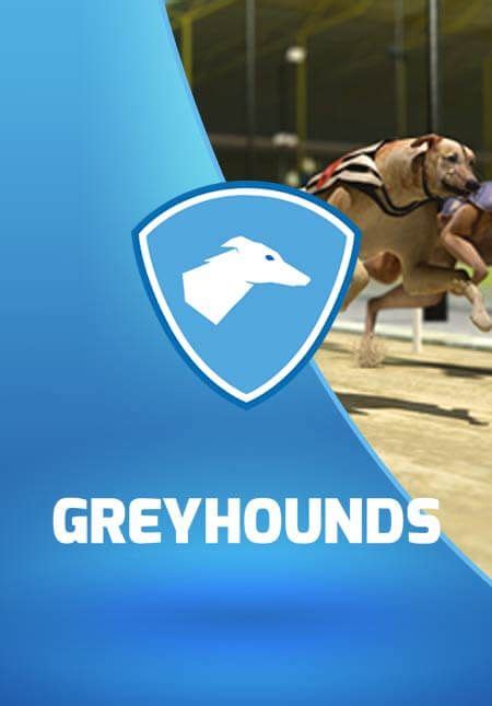 sky bet greyhounds|Virtual Sports: Greyhounds Rules .